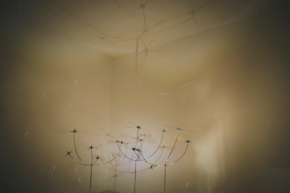 コレンスのギャラリー