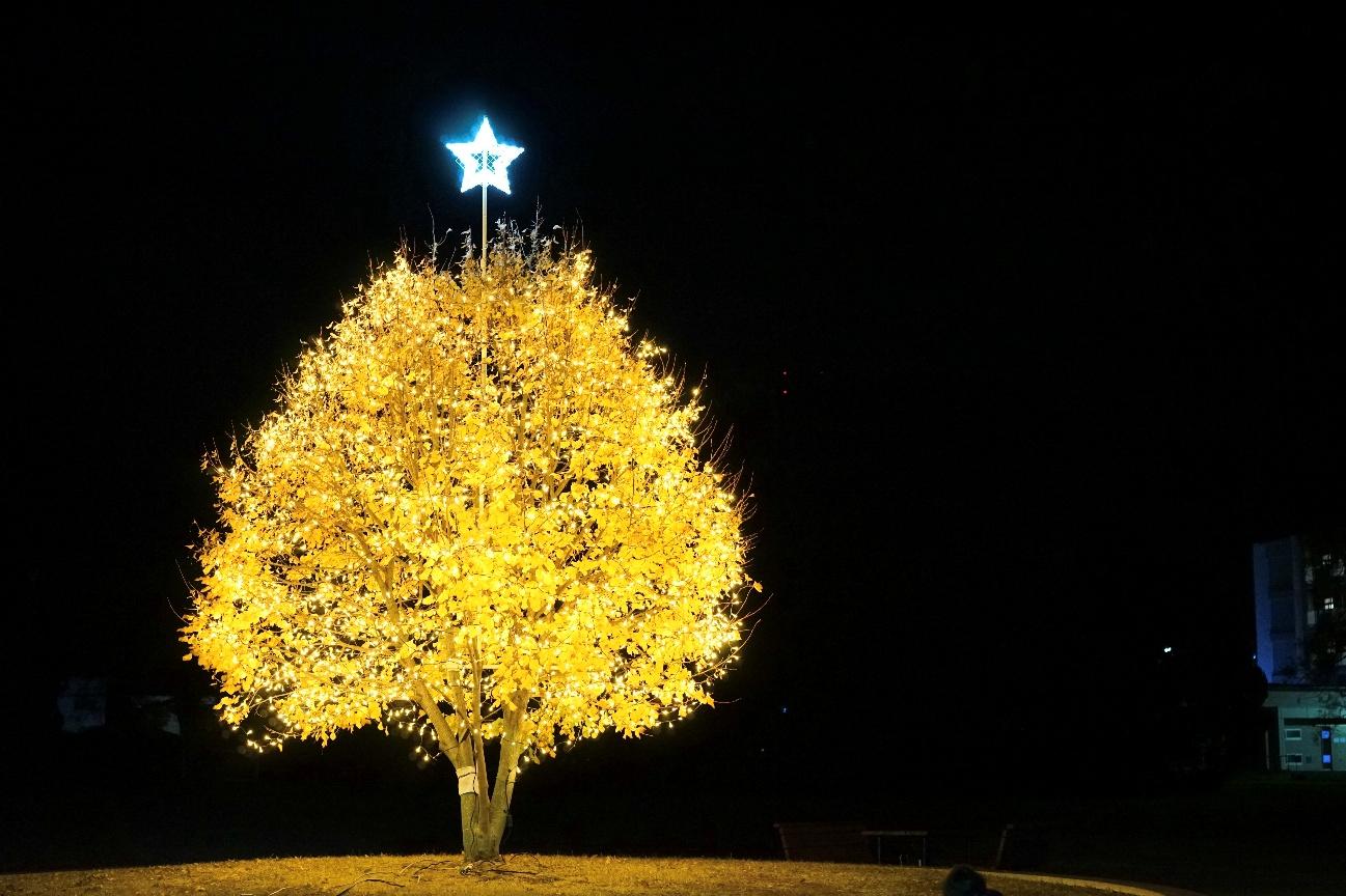 四国学院大学 イルミネーション