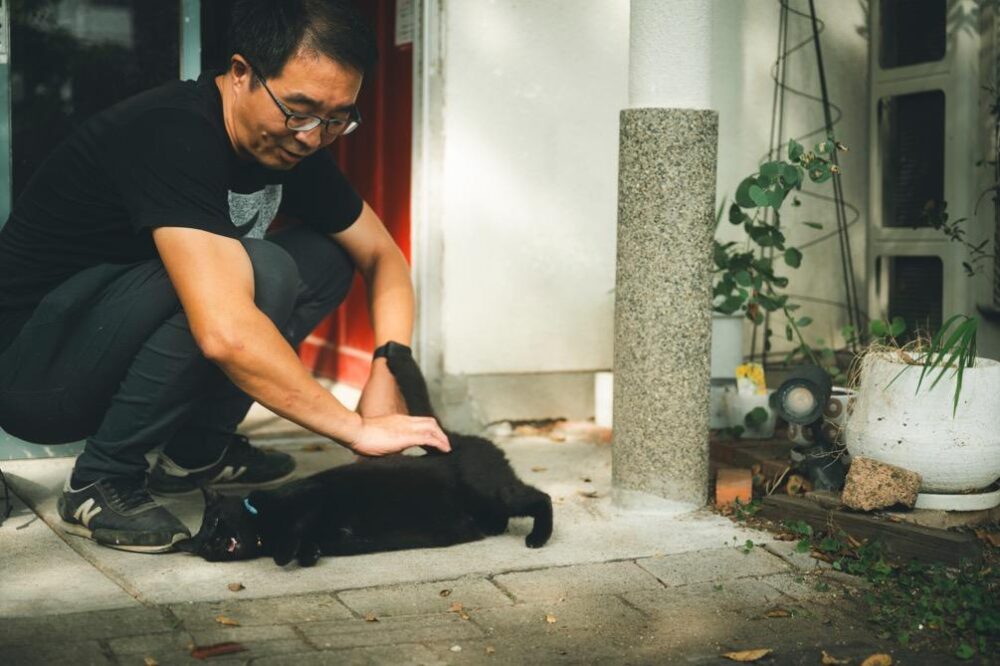 ネコをかわいがる岡本さん