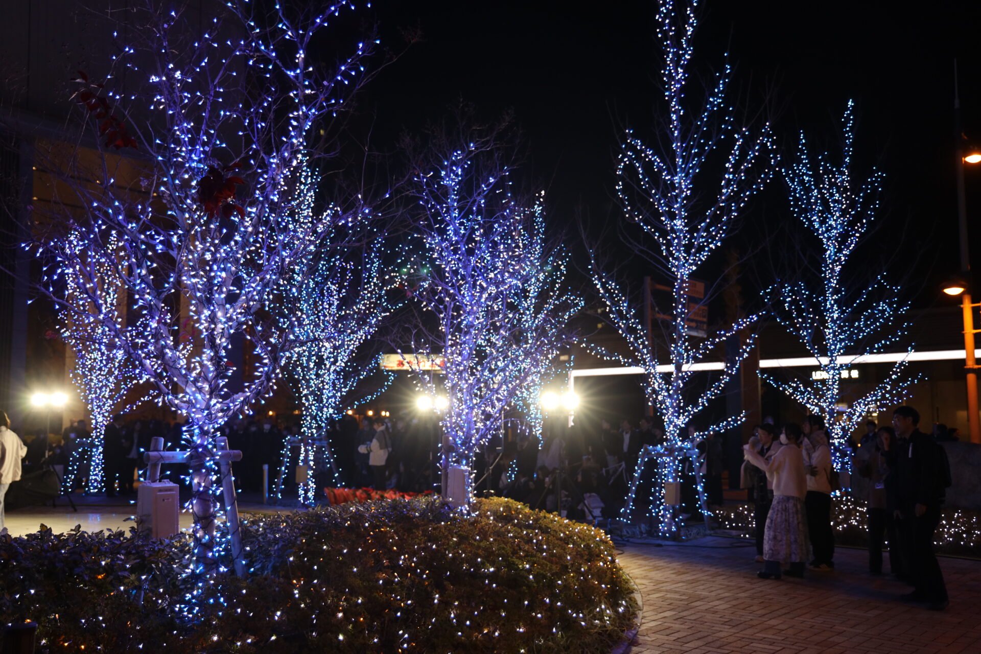徳島文理大学 イルミネーション