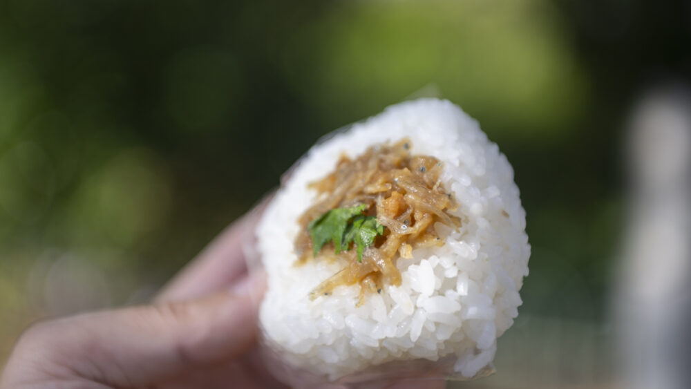 仁井田米を使ったおにぎり