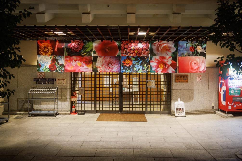 道後アート・椿の湯エントランス