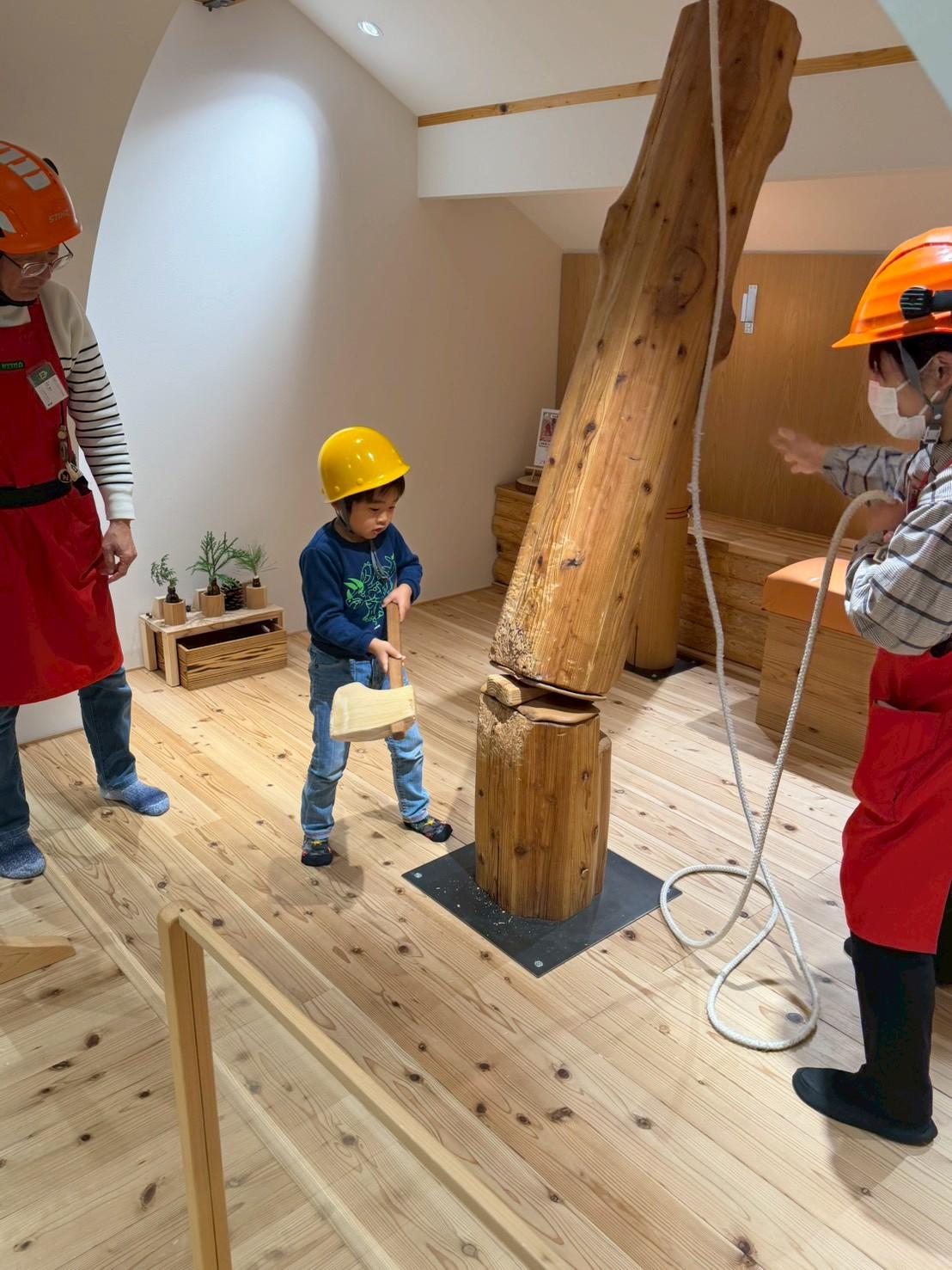 徳島「那賀町山のおもちゃ美術館」内のりんぎょうひろば