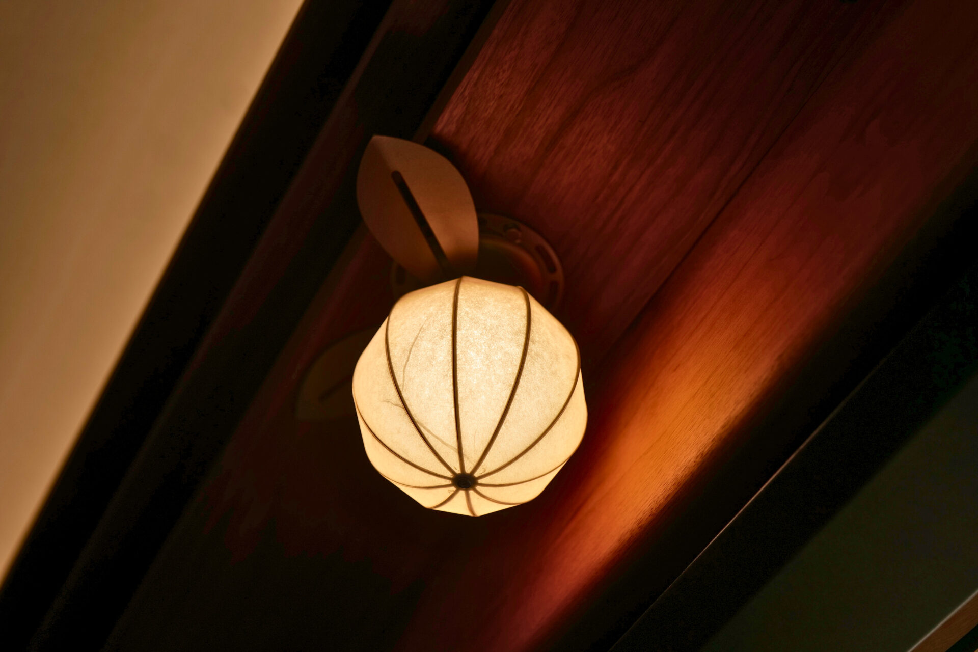 「伊予灘ものがたり」車内にある柑橘モチーフの照明