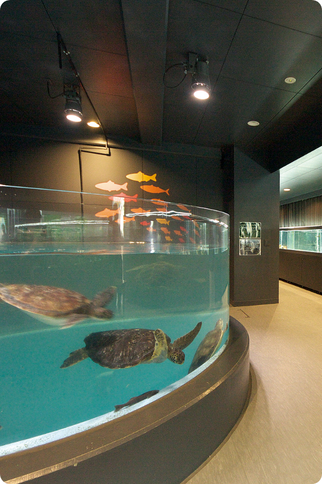 むろと廃校水族館